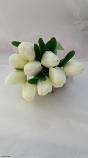 Kytica Tulipánov - bieka 9ks