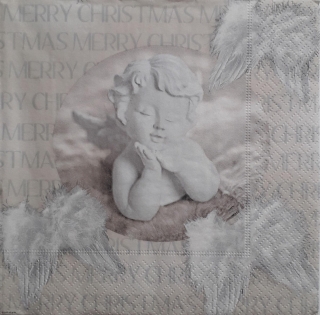 Servítka 2155 - 33x33cm