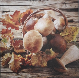 Servítka 6 - 33x33cm