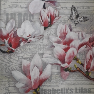 Servítka 242 - 33x33cm 