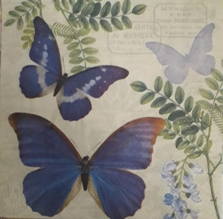 Servítka 489- 33x33cm 
