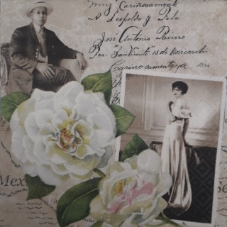 Servítka 697 - 33x33cm 