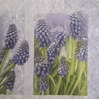Servítka 235 - 33x33cm 