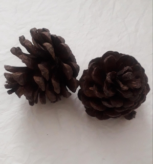 Šiška malá 6ks 3-5cm