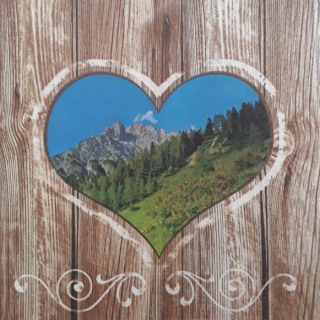 Servítka 26 - 33x33cm 