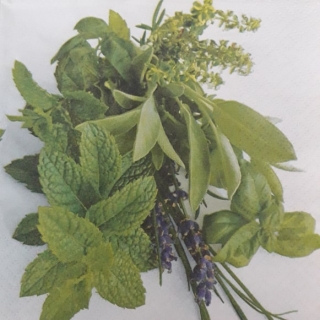 Servítka 434 - 33x33cm 