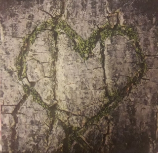 Servítka 29 - 33x33cm 