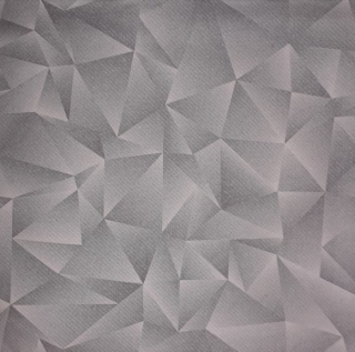 Servítka 2489 - 40x40cm 