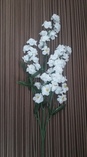 Kvet gypsofila biela - 55cm