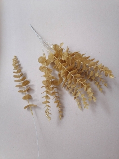Eukalyptus flitrovaný - zlatý