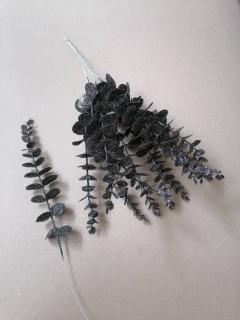 Eukalyptus flitrovaný - čierny