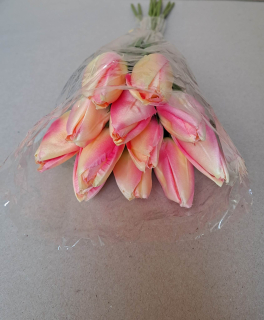 Dekoračné tulipány - Citrónovoružové