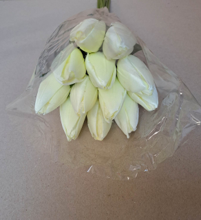 Dekoračné tulipány - Biele