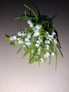 Kytica konvaliniek